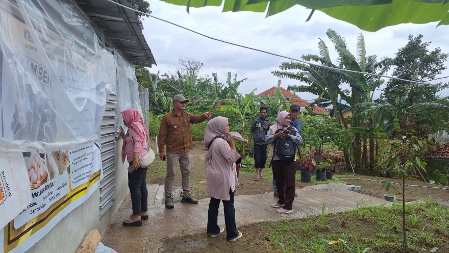 KPM PKH/BPNT di Cibeureum Kulon Wajib Berdaya: Difasilitasi Kebun Demplot dan Ternak Ayam Sentul